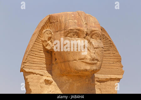 Leiter der großen Sphinx in Gizeh, Ägypten Stockfoto