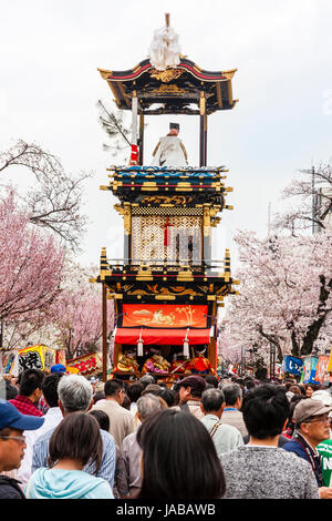 Inuyama Festival in Japan. Dashi float, aka Yama oder Yatai, von Zuschauern umgeben, während durch die Allee der Kirschblüten geschoben werden. Stockfoto