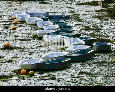 Schlauchboote in einem Muster auf Meeresboden bei Ebbe. Roscoff, Bretagne, Frankreich Stockfoto