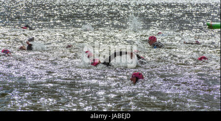 Schwimmer zu konkurrieren, die 2017 Ullswater EPIC Freiwasser schwimmen Event (3,8 km) Stockfoto