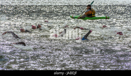 Schwimmer zu konkurrieren, die 2017 Ullswater EPIC Freiwasser schwimmen Event (3,8 km) Stockfoto