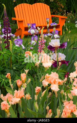 Gartenbank, Schreiners Iris Gardens, Keizer, Oregon anzeigen Stockfoto