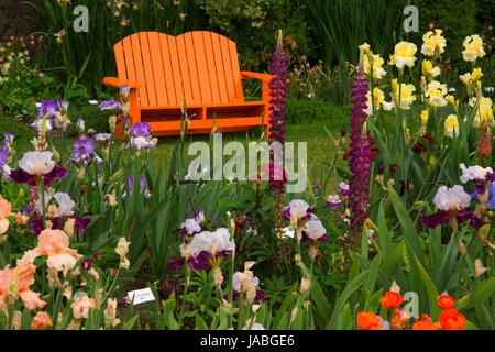 Gartenbank, Schreiners Iris Gardens, Keizer, Oregon anzeigen Stockfoto