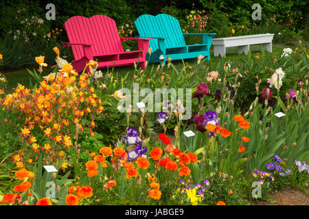 Gartenbank, Schreiners Iris Gardens, Keizer, Oregon anzeigen Stockfoto