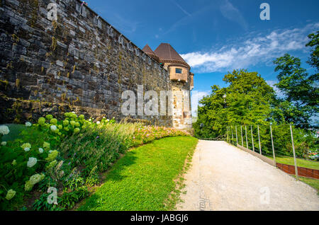 Die Burg von Ljubljana - ljubljanski Grad, Slowenien, Europa. Stockfoto