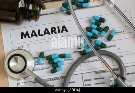 MALARIA-Mücken saugen Blut Welt Malaria Tag Zika Viruswarnung Stockfoto