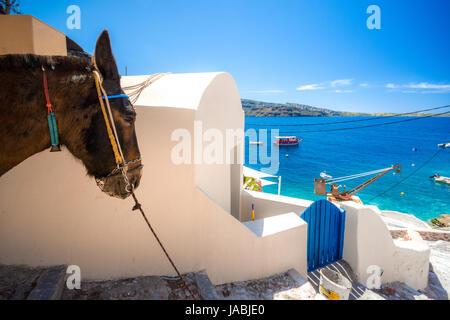 Der alte Hafen von ammoudi unter dem berühmten Dorf Oia auf Santorini, Griechenland. Stockfoto