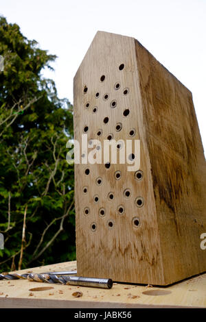 Machen eine einsame Bienenhaus durch Bohren von Löchern in verschiedenen Größen in einem massiven Eiche Holz Stockfoto