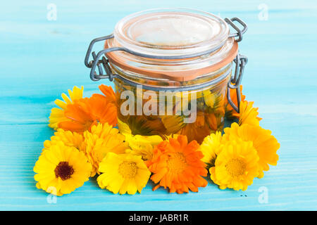 Calendula-Öl in ein Gefäß mit Calendula Blumen auf blauem Hintergrund aus Holz. Stockfoto