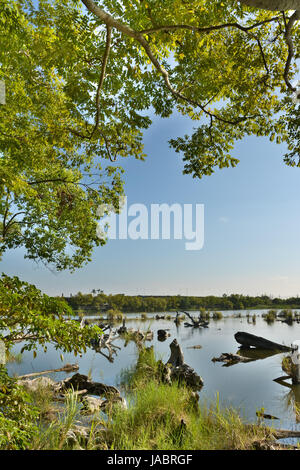 Landschaft der alten Log-Teich, beschossen Luodong Forstwirtschaft-Kultur-Garten, Yilan County, Taiwan. Stockfoto