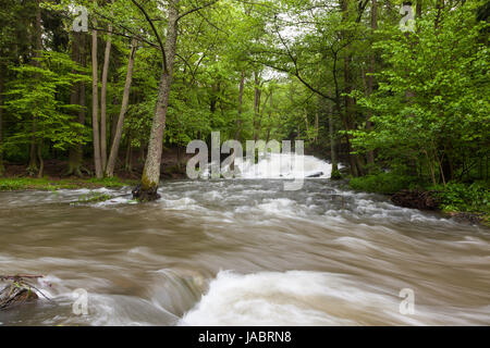 Selkewasserfall Bei Alexisbad Hochwasser Stockfoto