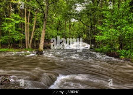 Selkewasserfall Bei Alexisbad Hochwasser Stockfoto