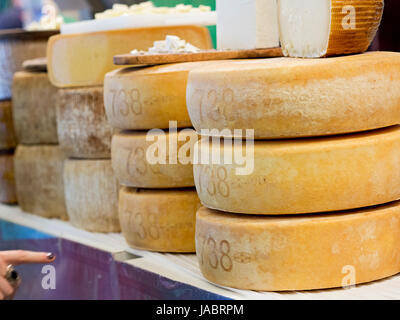 große Formen der Pecorino-Käse zu verkaufen Stockfoto