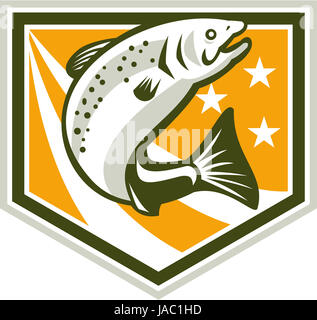 Beispiel für eine Forelle Fisch springen Satz innen Schild mit Sternen und Streifen Marken im retro-Stil gemacht Stockfoto