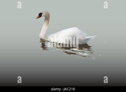 Eindrucksvolles Bild der einsame Schwan im ruhigen Wasser schwimmen Stock Vektor