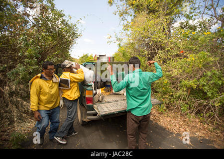 Honig-Bauern bereiten zu ernten und Honig aus den Bienenstöcken in Léon Abteilung, Nicaragua zu extrahieren. Stockfoto