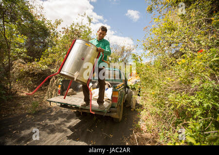 Honig-Bauern bereiten zu ernten und Honig aus den Bienenstöcken in Léon Abteilung, Nicaragua zu extrahieren. Stockfoto