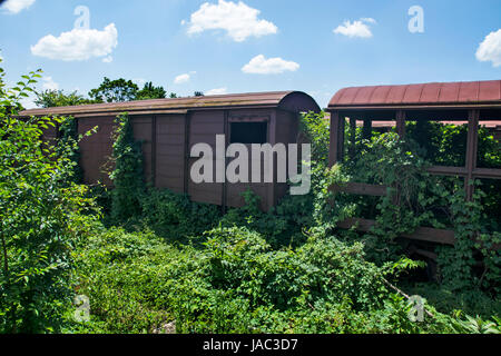 Alten Eisenbahnwaggons, die darauf warten, in Alteisen verwandelt werden. Stockfoto