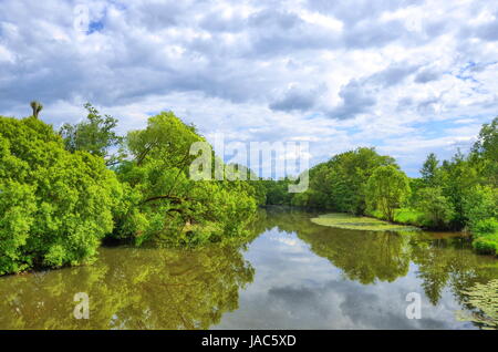 Fulda-Fluss in Aueweiher Park in Fulda, Hessen, Deutschland Stockfoto