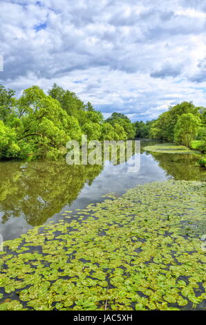 Fulda-Fluss in Aueweiher Park in Fulda, Hessen, Deutschland Stockfoto