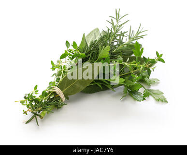 frisches Bouquet Garni, Bund Kräuter isoliert auf weißem Hintergrund Stockfoto