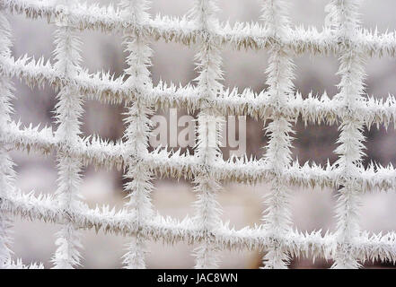 In der Kälte im Winter Rauhreif Formen, In der Kälte Im Winter Bildet Sich Raureif Stockfoto