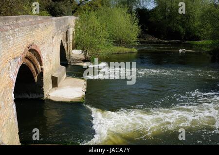 Herrlichen Steinbrücke über den Fluss Great Ouse, Harrold, Bedfordshire.  Es ist eines der ältesten in der Gemeinde mit Teilen aus dem th Stockfoto