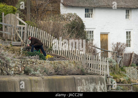 Menschen, die Gartenarbeit in winzigen terrassenförmig angelegten Garten über dem Hafen Wand im Dorf an der Küste, weiß getünchten strohgedeckten Hütte über - Runswick Bay, England, UK Stockfoto