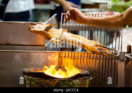 Frische gebratene thai ganze Baby Schwein Grill. Traditionelle Sout East Asia-Küche. Stockfoto