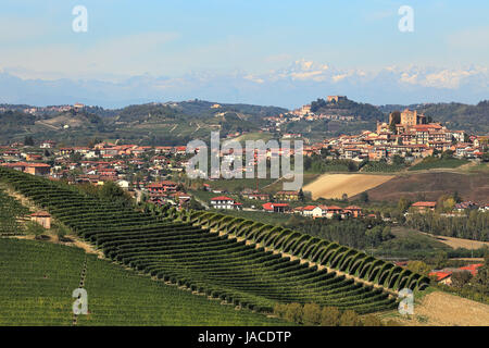 Aussicht auf Hügel mit grünen Weinbergen und kleinen Stadt Roddi auf Hintergrund im Piemont, Norditalien. Stockfoto