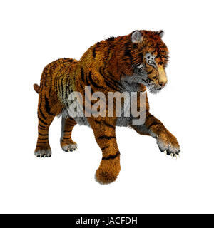 Digitale 3D Rendern von einem wilden Tiger isoliert auf weißem Hintergrund Stockfoto