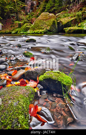 Fluss Kamenice im Herbst mit langer Belichtung, Böhmische Schweiz, Tschechische Republik Stockfoto