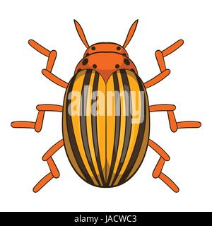 Kartoffelkäfer-Symbol. Cartoon-Illustration der Kartoffelkäfer Vektor Icon für web Stock Vektor