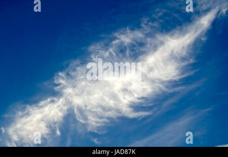 Großen wispy Cirrus Cloud in Diagonale Feder Form am azurblauen Himmelshintergrund. Stockfoto