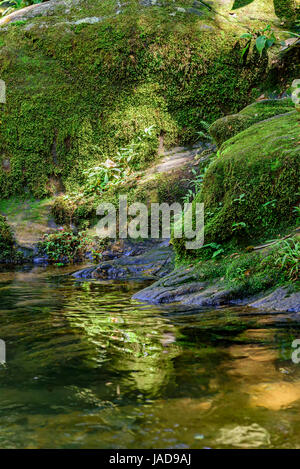 Kleiner Fluss und Wasserfall zwischen den Felsen der Itatiaia-Nationalpark in Penedo, Rio De Janeiro Stockfoto