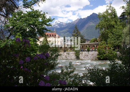 Blick Auf Die Passanten Mit Stromschnellen; sterben Sie Kurpromenade von Meran Und Im Hintergrund Die Schneebedeckten Gipfel der Sarntaler Alpen; Im Vordergrund Ein Blühender Busch Blick auf der Passer mit Stromschnellen, Spa promenade von Meran und im Hintergrund die schneebedeckten Gipfel der Alpen Sarntal; im Vordergrund ein blühender Strauch Stockfoto