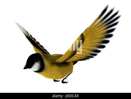 Digitale 3D Rendern von einem fliegenden Singvogel Stieglitz isoliert auf weißem Hintergrund Stockfoto