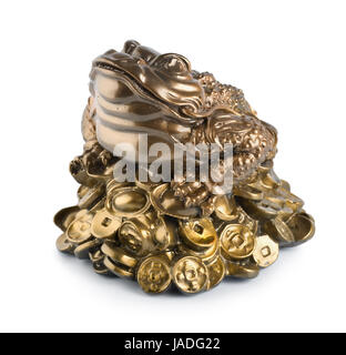 Kässeli Frosch auf einem weißen Hintergrund isoliert Stockfoto