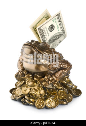 Kässeli Frosch auf einem weißen Hintergrund isoliert Stockfoto