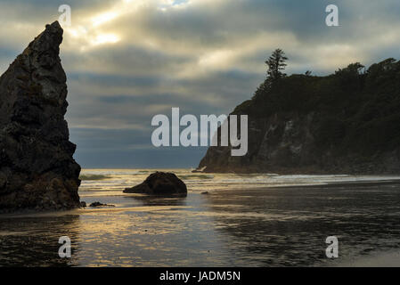 Großen felsigen Meer Stapel Rahmen Ozeanwasser beleuchtet durch die getrübte Sonne am Ruby Beach in Washington golden Stockfoto