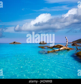 Ibiza Aigues Lehrschule Aguas Blancas Beach in Santa Eulalia Balearen Spanien Stockfoto