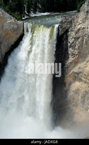 Lower Falls auf dem Yellowstone River in den Grand Canyon des Yellowstone National Park in Wyoming, USA. Stockfoto