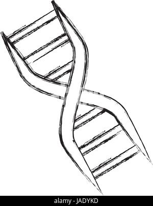 ADN genetischen code Stock Vektor