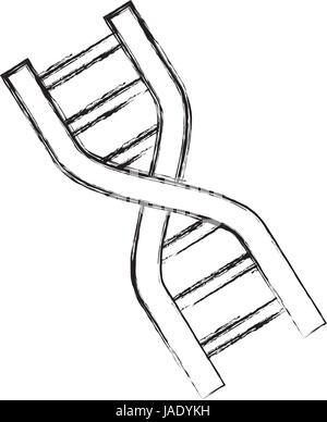 ADN genetischen code Stock Vektor