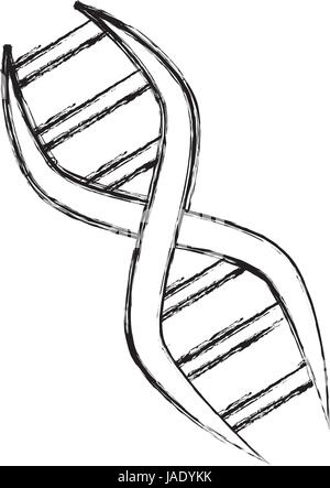 ADN genetischen code Stock Vektor