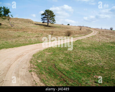 Einsamer Sandweg in Einer Hügeligen Graslandschaft Mit Einzelnen Bäumen Auf der Insel Usedom Im Sommer Stockfoto