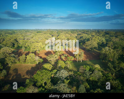 Grüne Waldlandschaft in Nicaragua Luftbild Drohne Ansicht Stockfoto