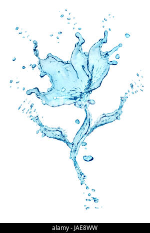 Blume Wasser spritzt isolierten auf weißen Hintergrund Stockfoto