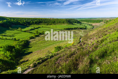 Geologische Depression in den North York Moors mit Blick auf Ackerland, Moor und Vegetation an einem feinen Frühlingsmorgen in Yorkshire, England. Stockfoto