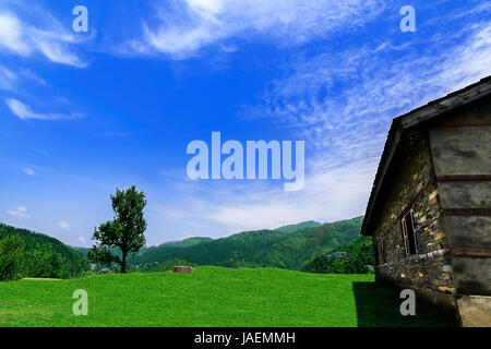 Idyllische und wunderschöne Landschaft mit einem alten verlassenen Holzhaus im Janjehli-Tal, Himachal Pradesh Stockfoto